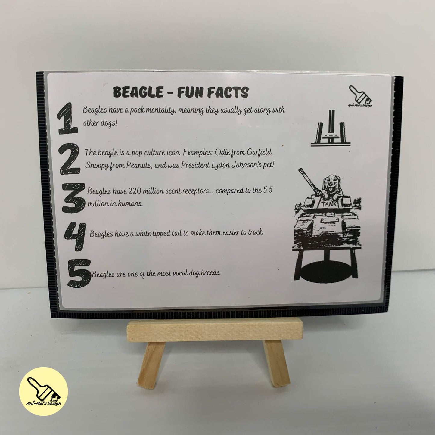 Doodle Box (Double Toys/Treats)