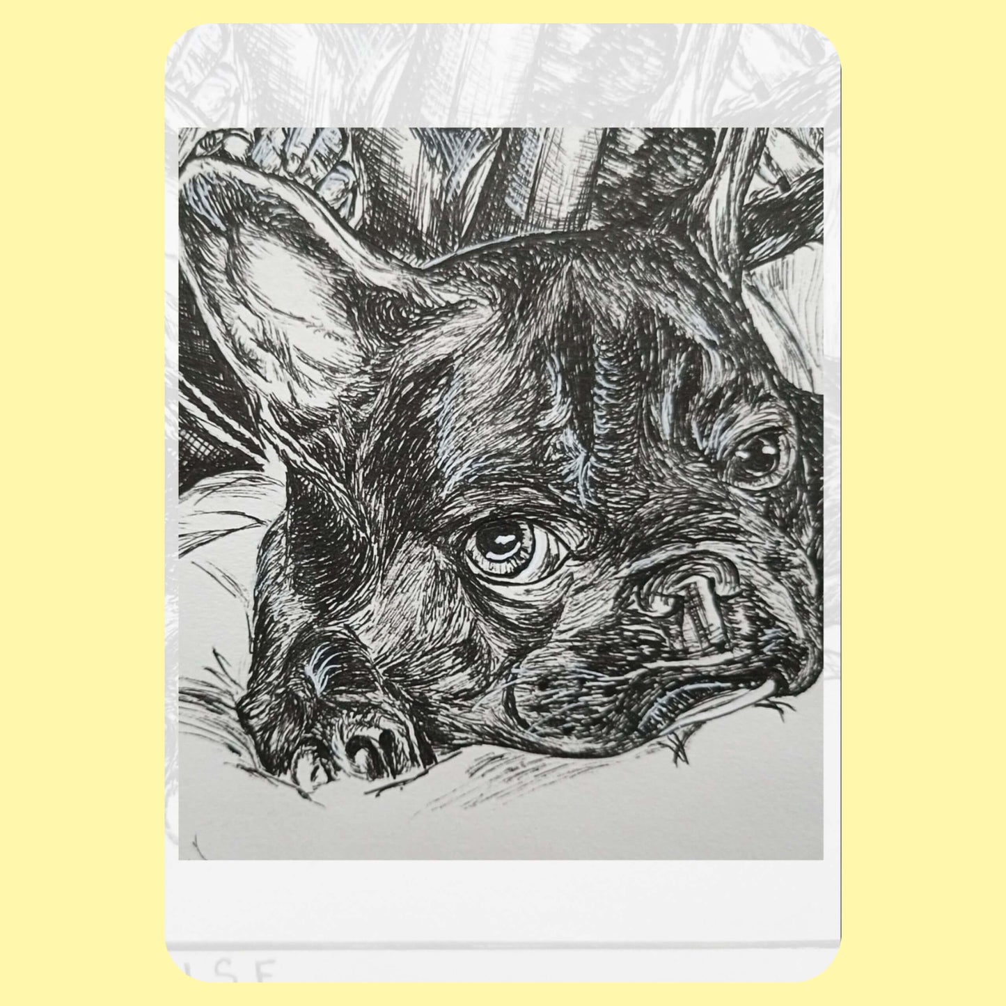 Custom Pen/Ink/Graphite Artwork