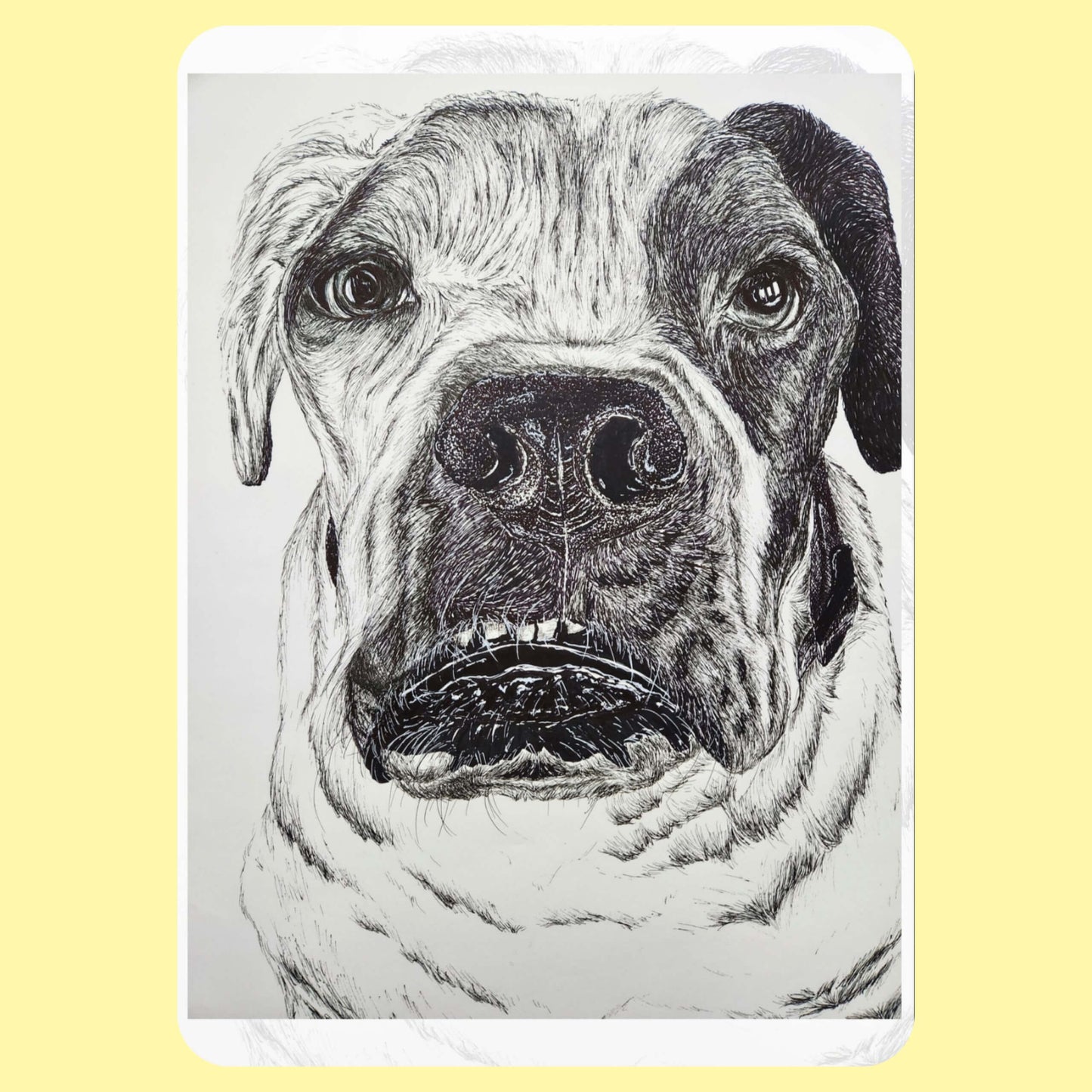 Custom Pen/Ink/Graphite Artwork
