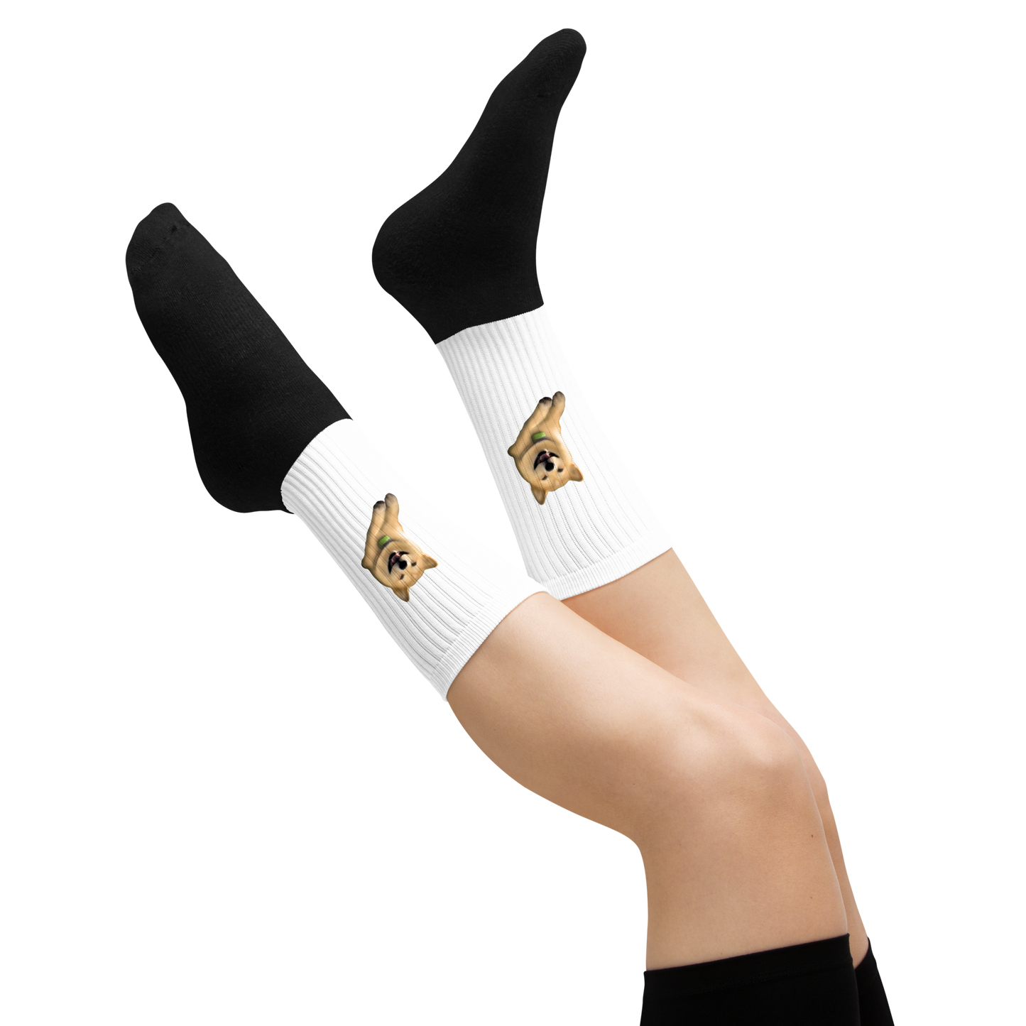 Custom Pet Socks | Couch Cooper