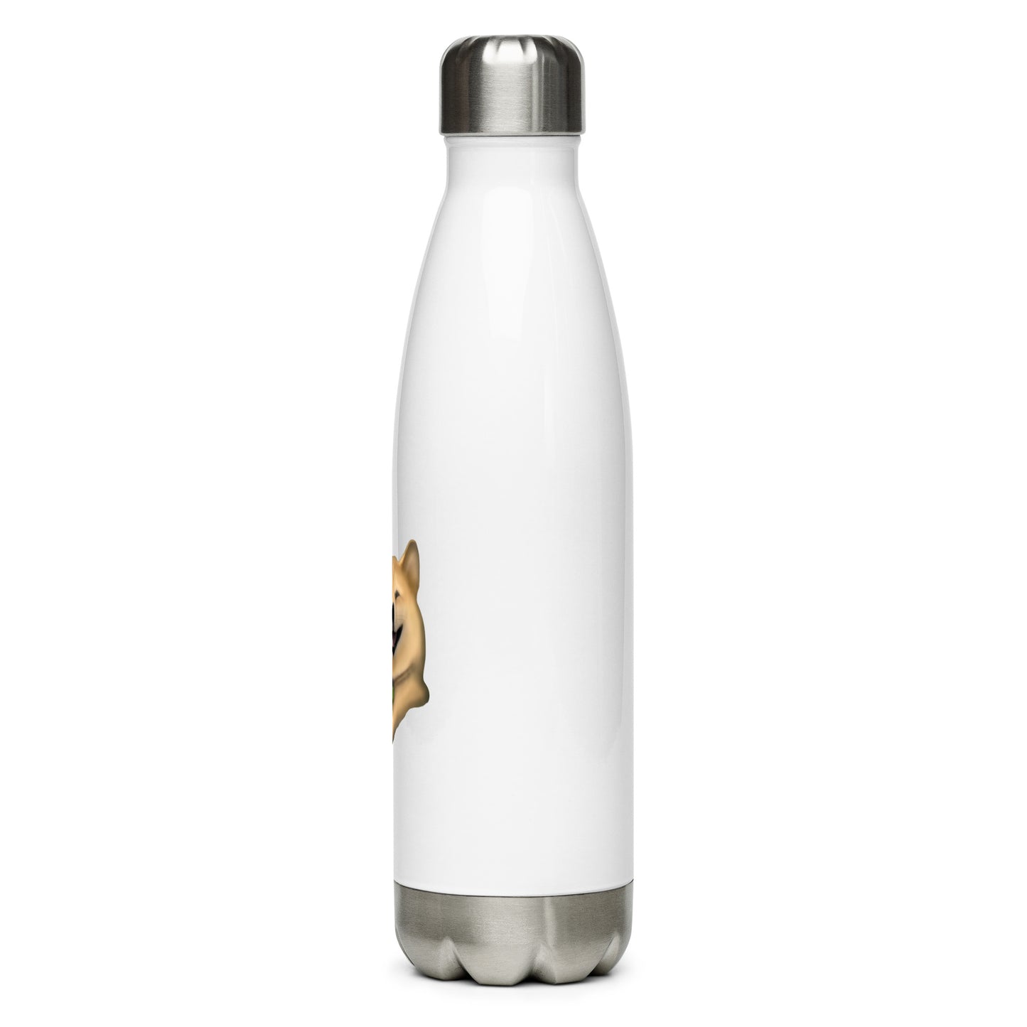 Custom Pet Stainless Steel Water Bottle for a dog named Cooper that loves couches