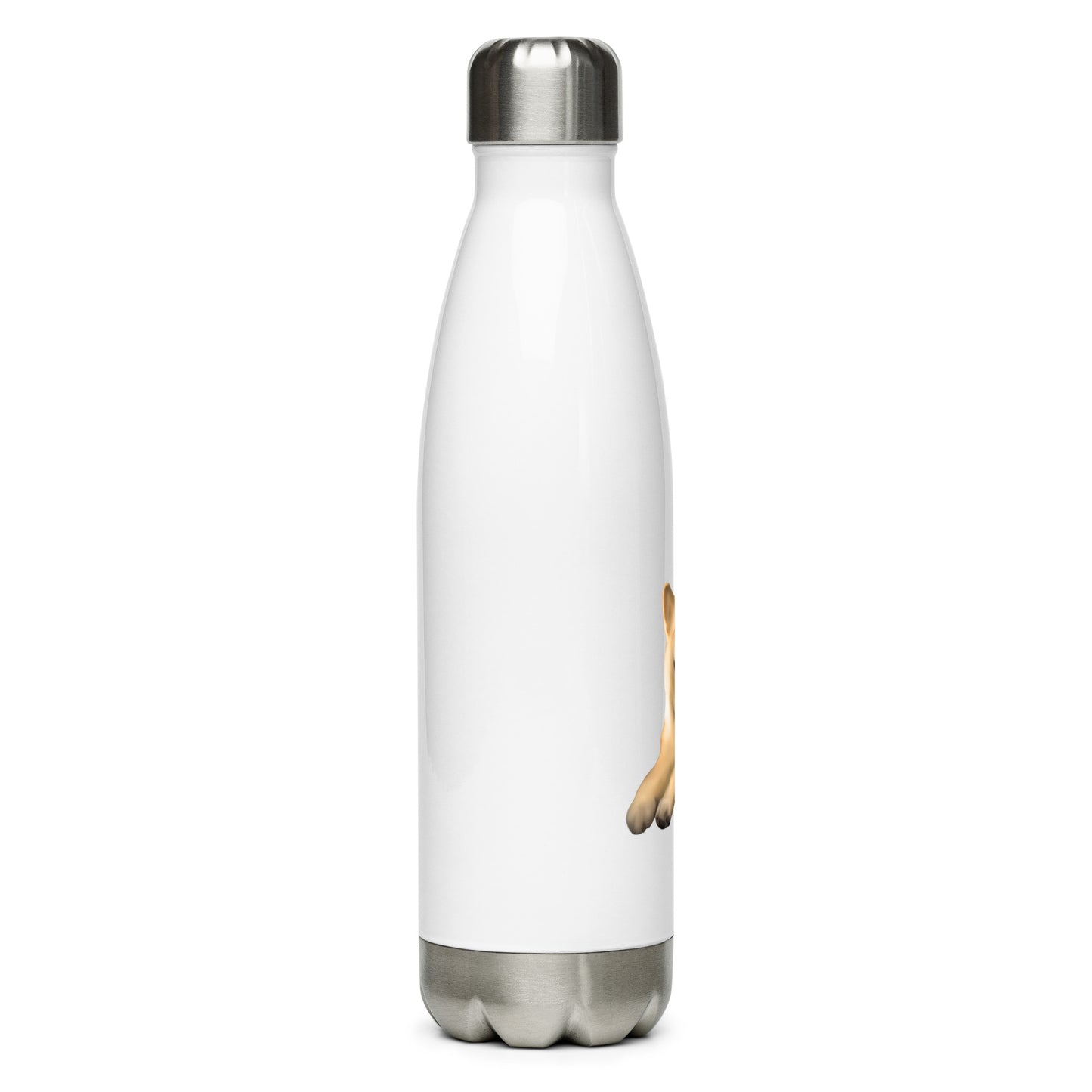 Custom Pet Stainless Steel Water Bottle for a dog named Cooper that loves couches