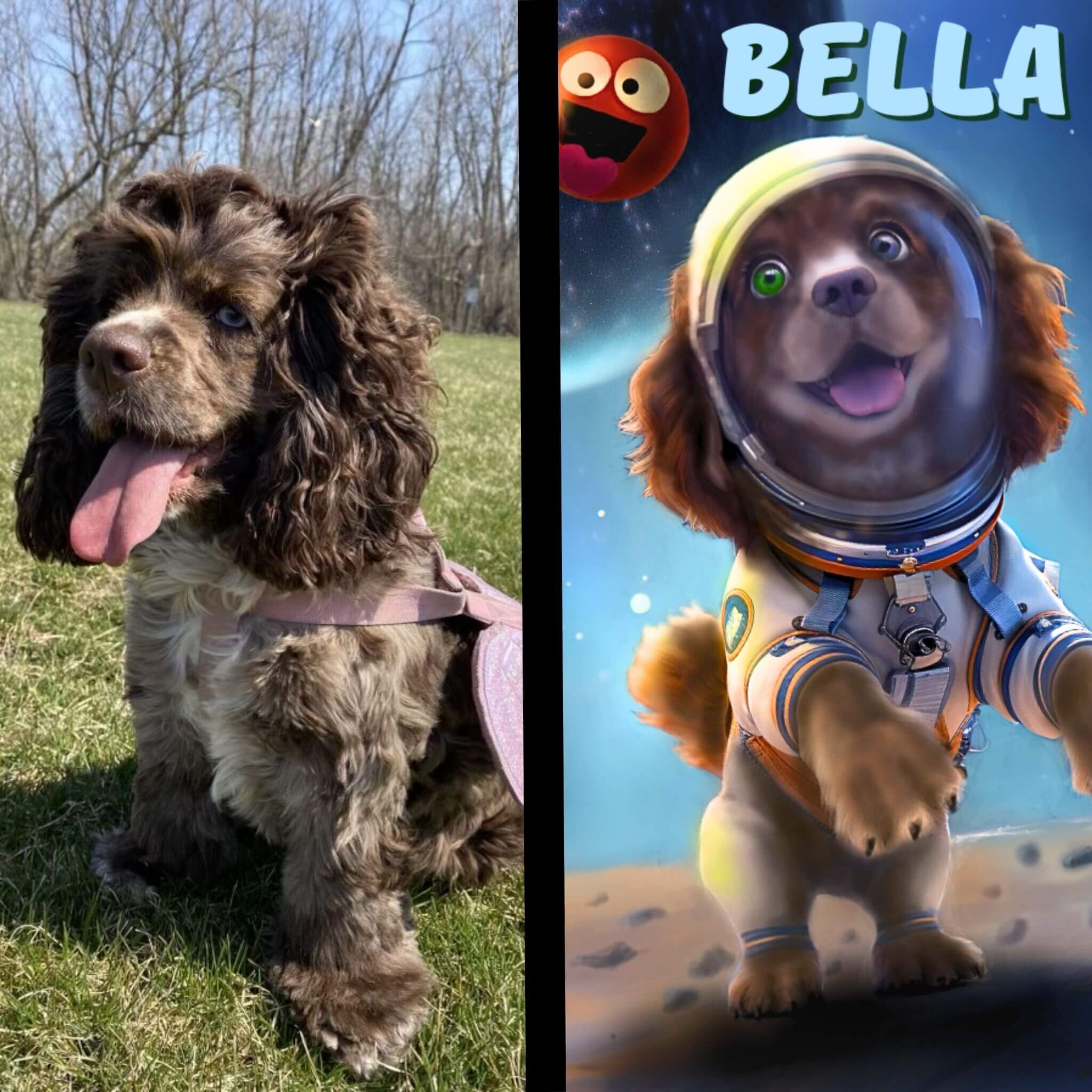 custom pet art in space of a dog named Bella