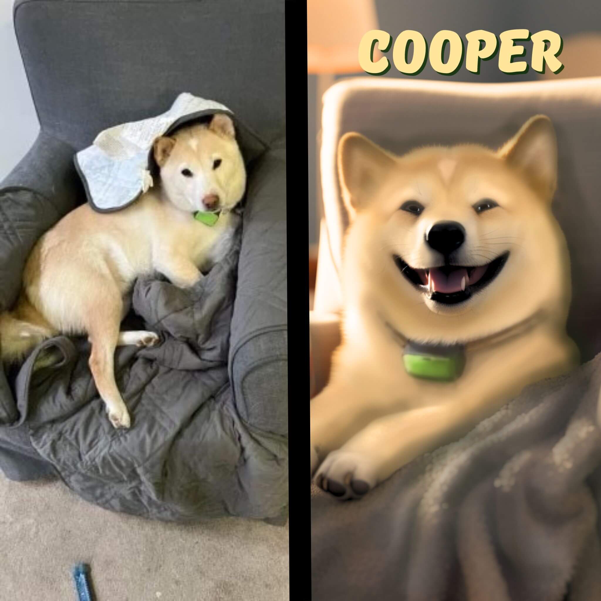 custom pet portrait from a photo for a dog named Cooper