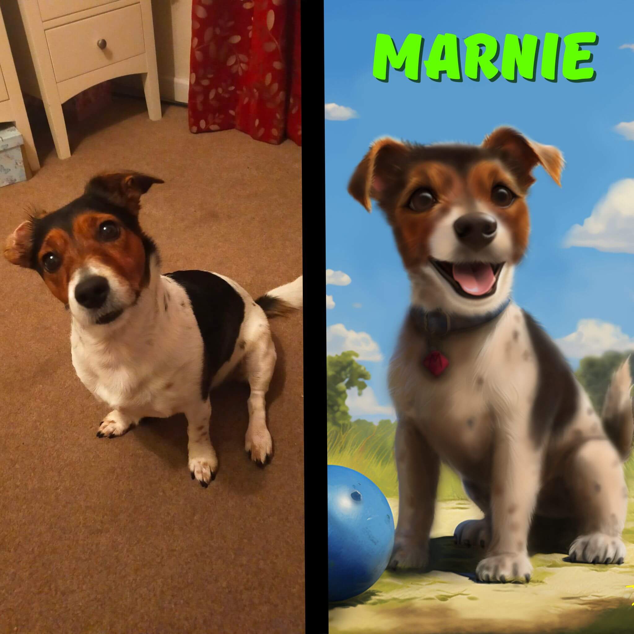 custom pet portrait from a photo for a dog named Marnie