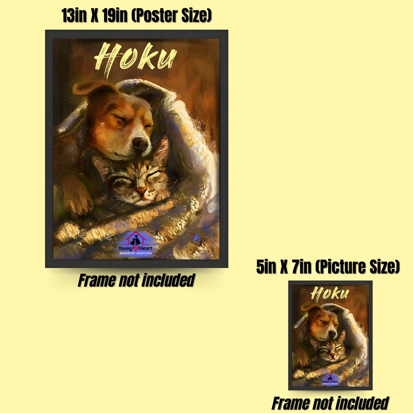 Hoku Printout | Young At Heart Senior Pet Adoptions