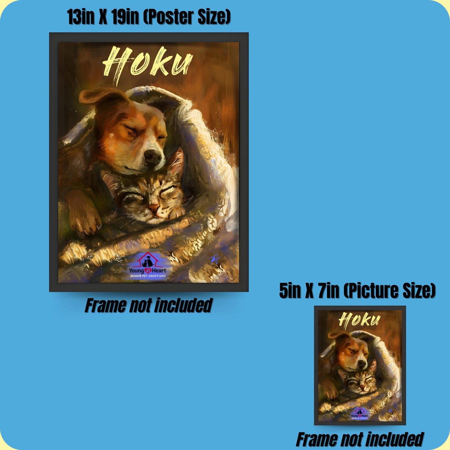 Hoku Printout | Young At Heart Senior Pet Adoptions