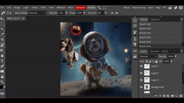 The process for how artists at Ani-mal's Design create custom pet portraits
