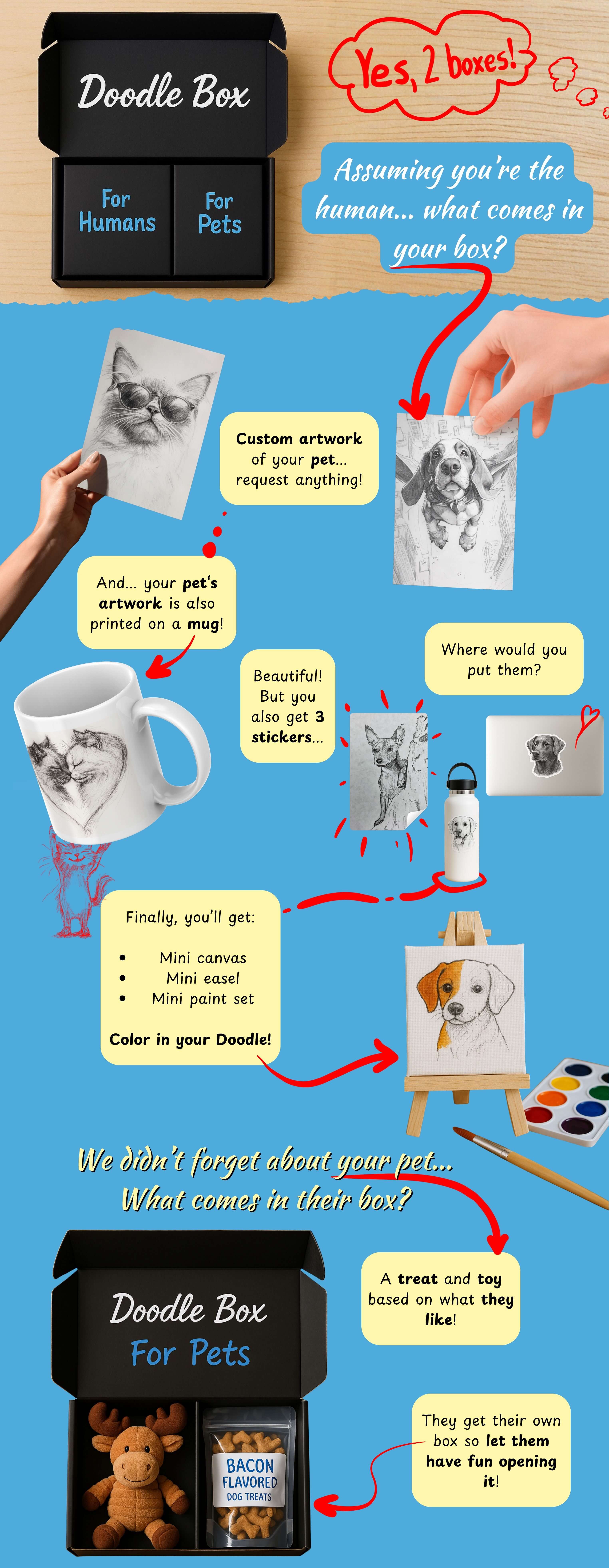 Graphic that shows what comes in a Doodle Box from Ani-mal's Design. A Doodle Box comes with custom artwork of your pet, a custom item with your pet's artwork on it, 3 custom pet art stickers, a mini canvas and paint set, and a toy and treat for your pet.