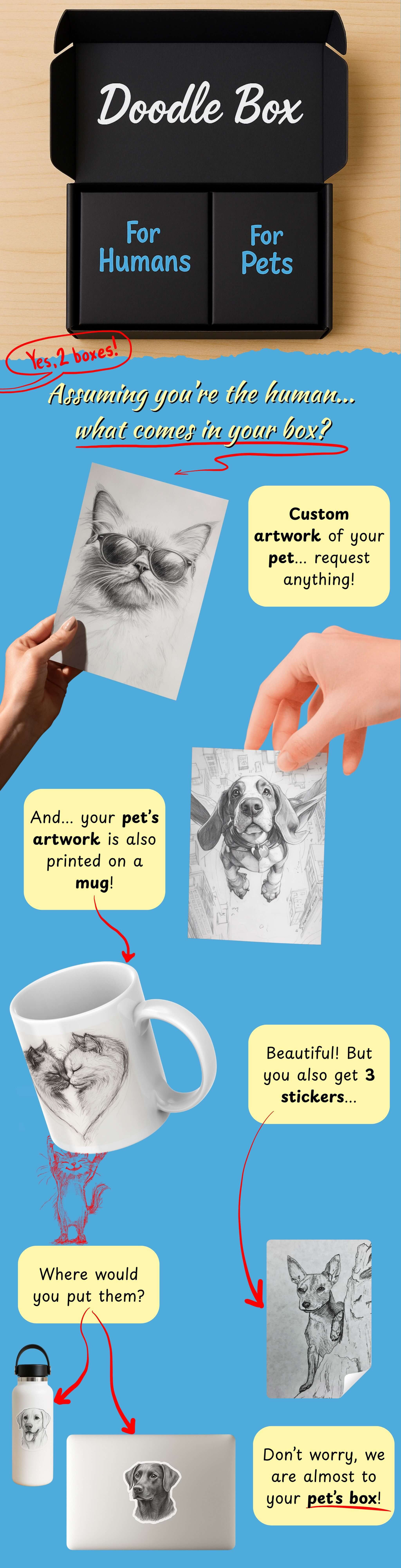 Graphic that shows what comes in a Doodle Box from Ani-mal's Design. A Doodle Box comes with custom artwork of your pet, a custom item with your pet's artwork on it, 3 custom pet art stickers, a mini canvas and paint set to learn how to paint your pet.