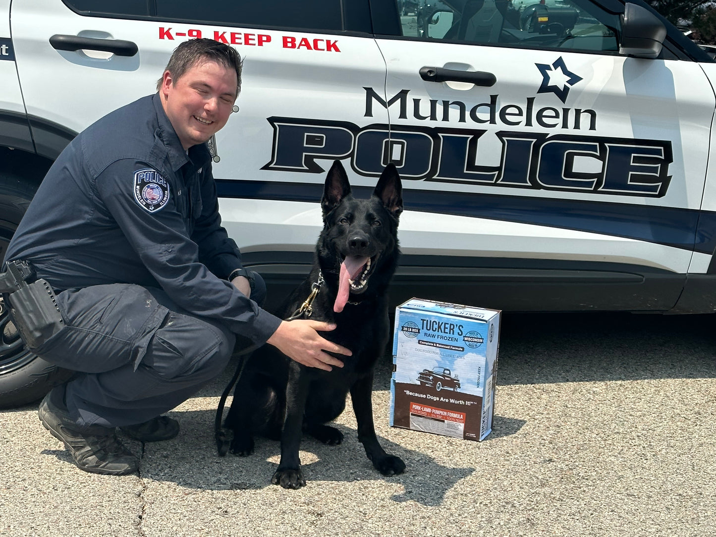 A K-9 police dog named Ranger that works at the Mundelein Police Department with his handler named Kevin