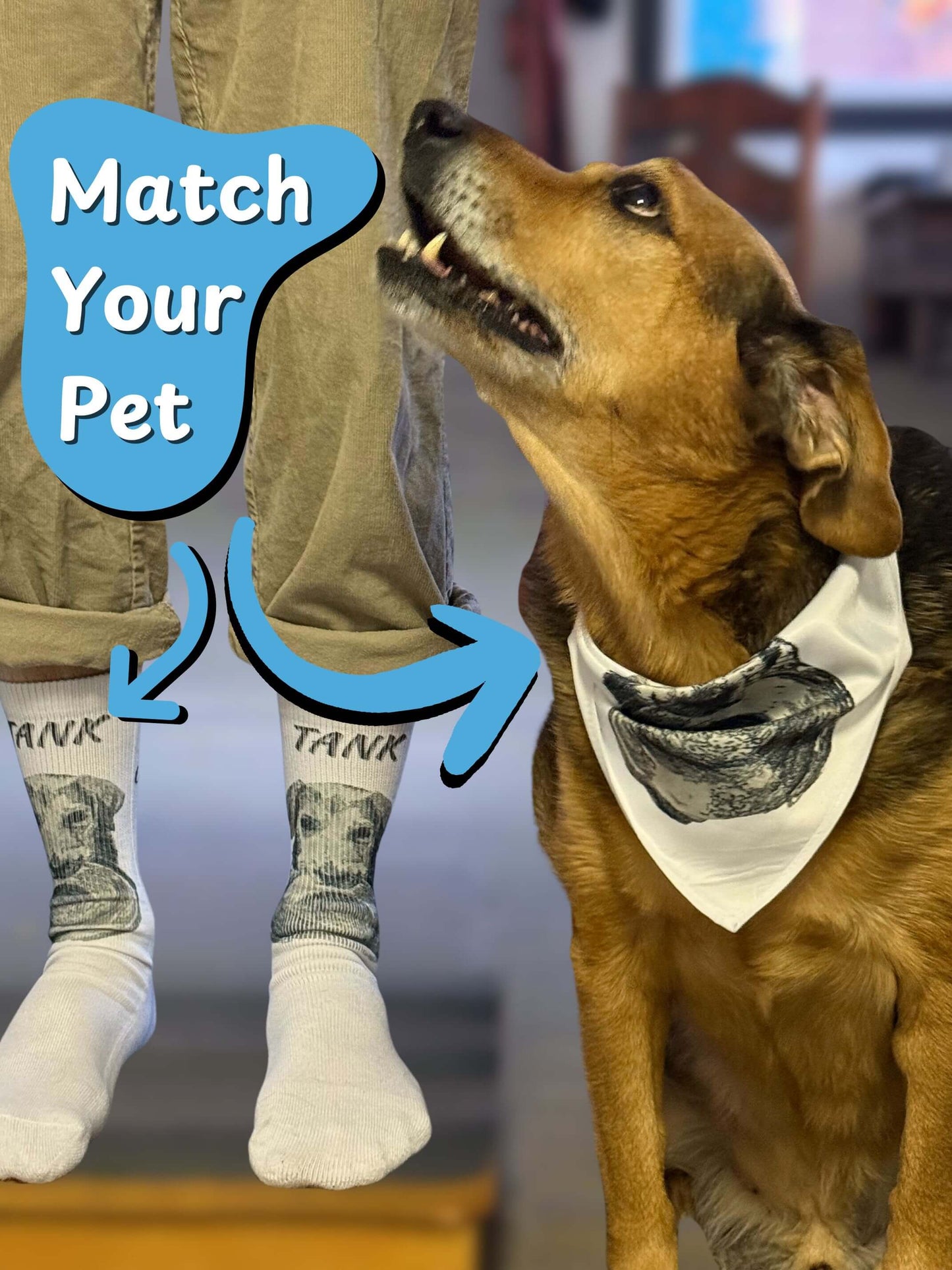 Doodle Box — Custom Pet Art Subscription Box for Dog Moms & Cat Dads Includes Artwork Stickers Toy Treat Mini Canvas & Surprise Item Perfect for Pet Lovers