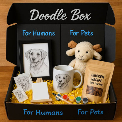 Doodle Box open to show all of the contents