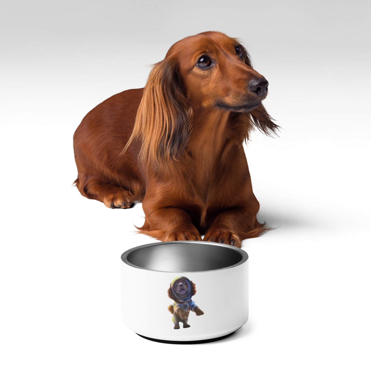 Custom Pet Bowl for a dog named Bella