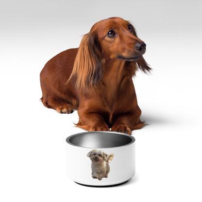 Pet bowl | Chloe