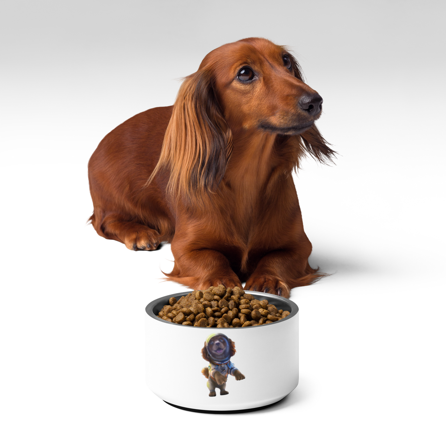 Custom Pet Bowl for a dog named Bella