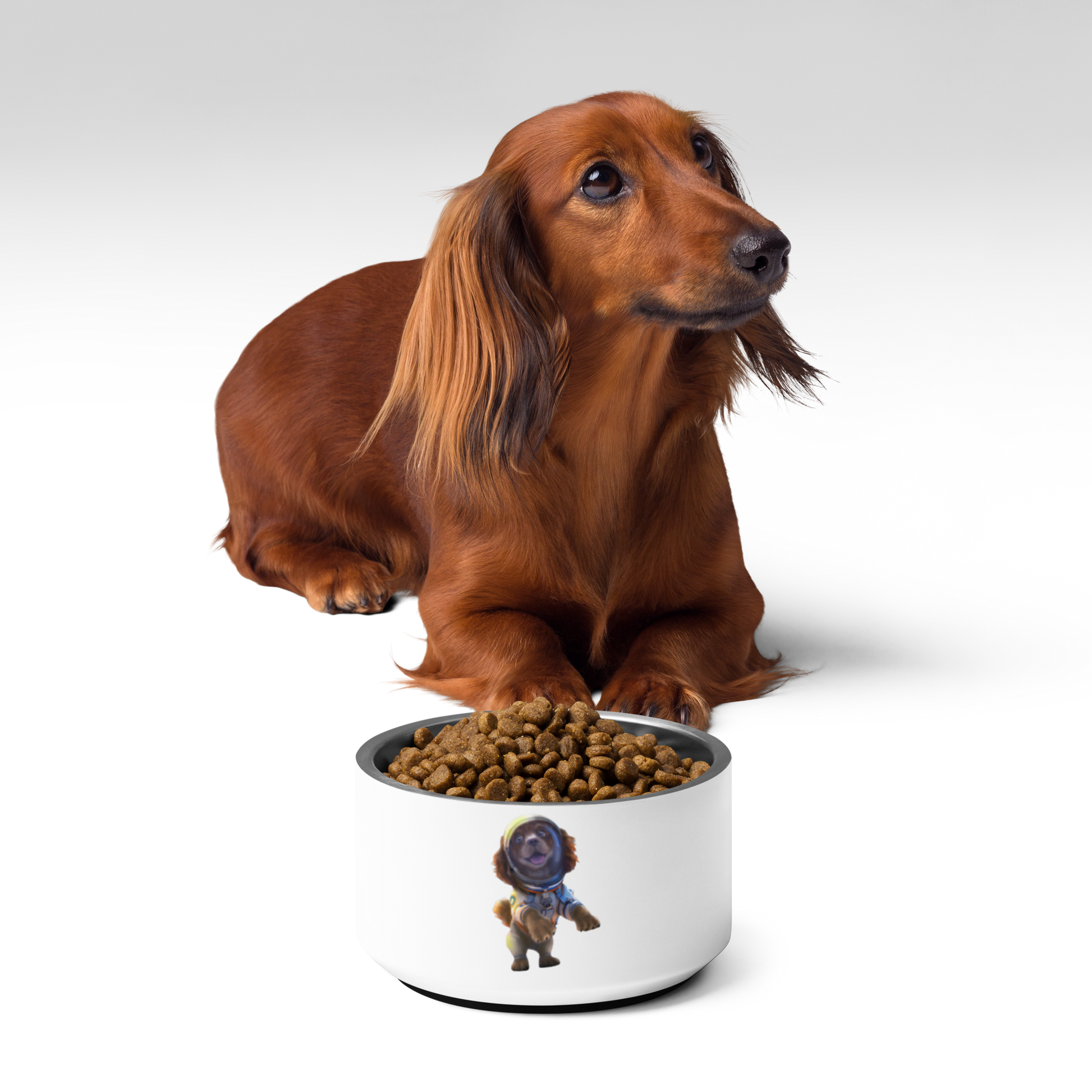 Custom Pet Bowl for a dog named Bella