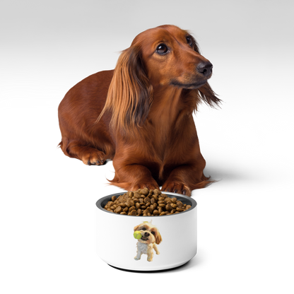 Pet bowl | Marcellus