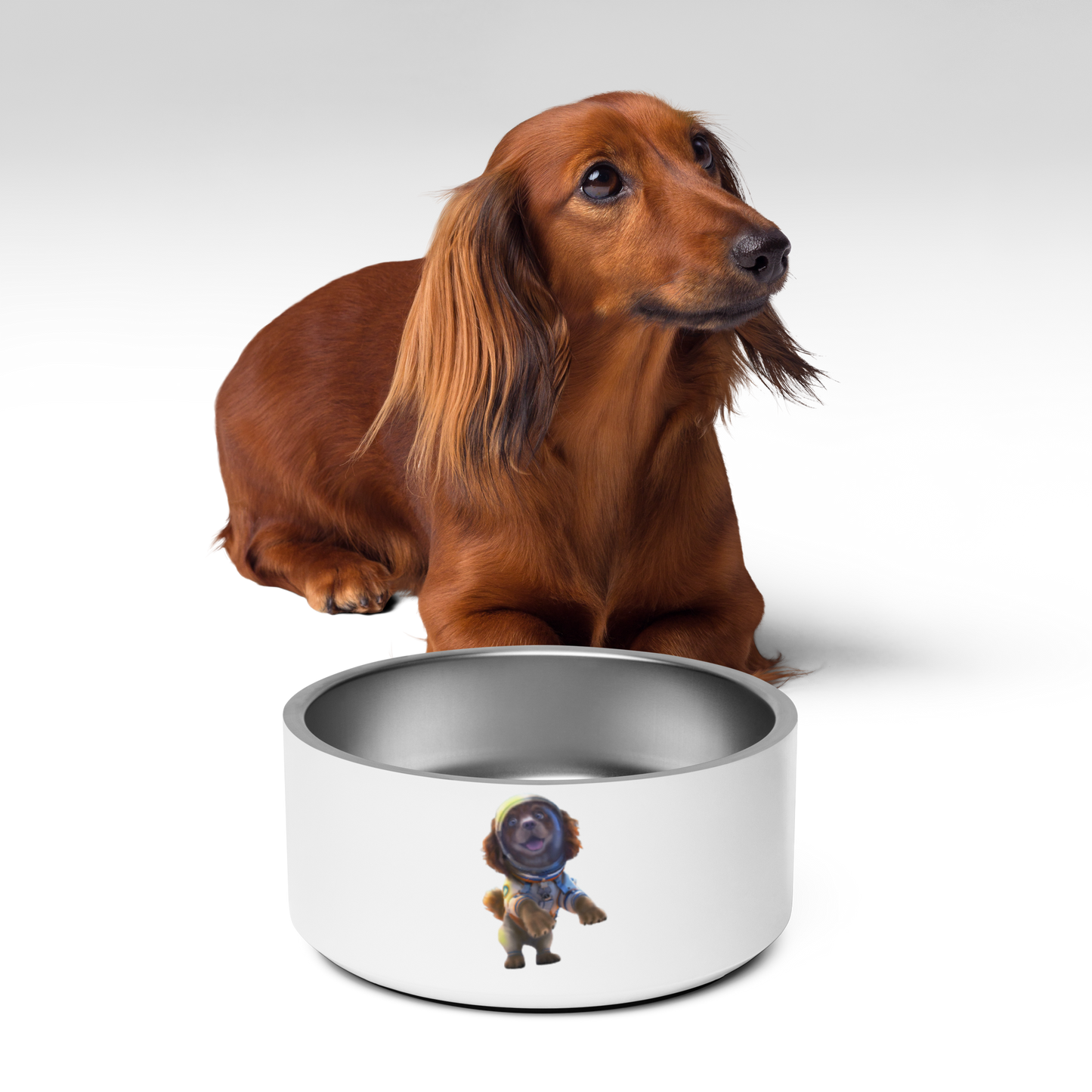 Custom Pet Bowl for a dog named Bella