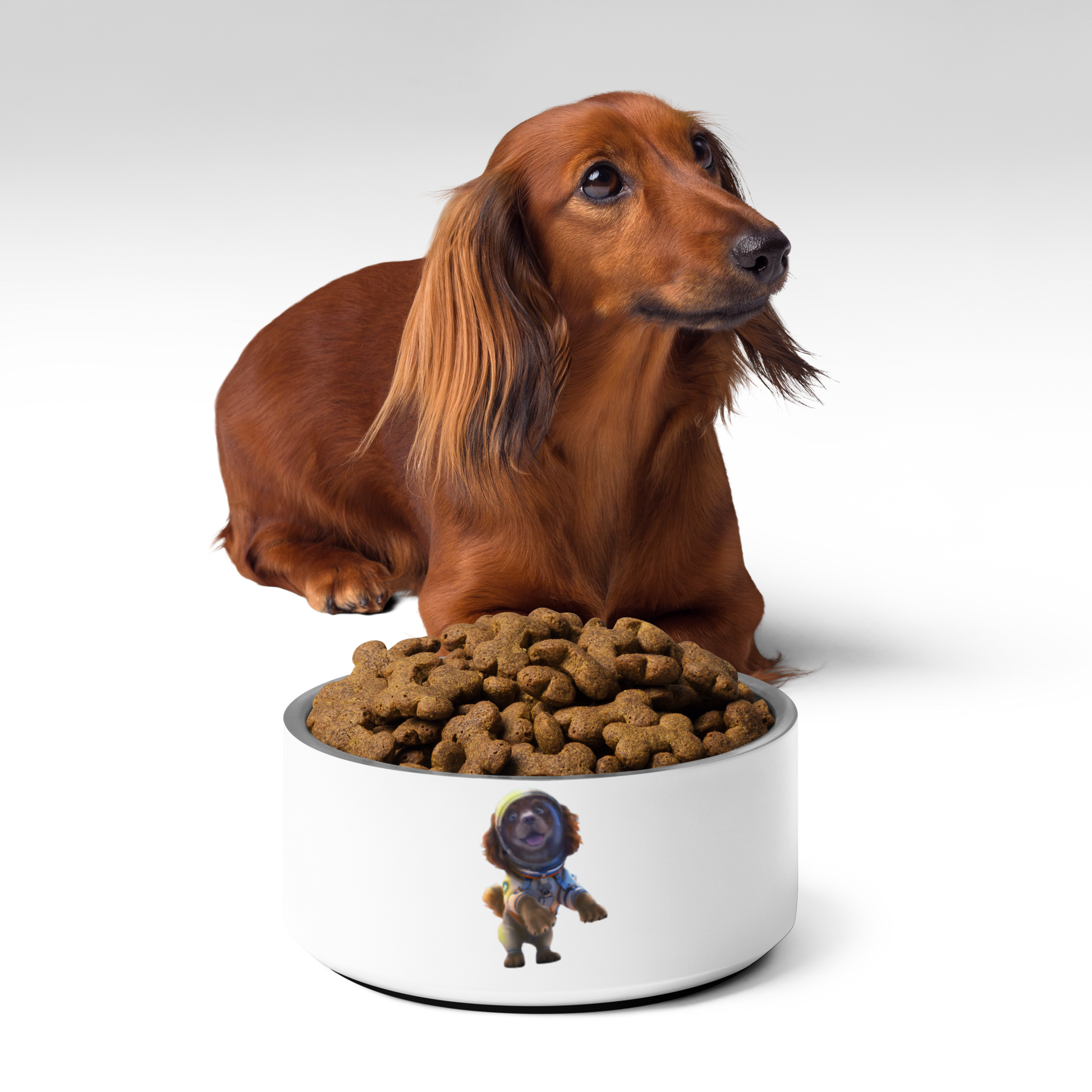 Custom Pet Bowl for a dog named Bella