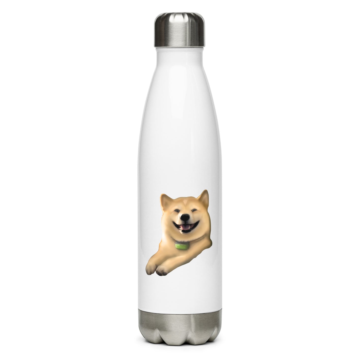 Custom Pet Stainless Steel Water Bottle for a dog named Cooper that loves couches