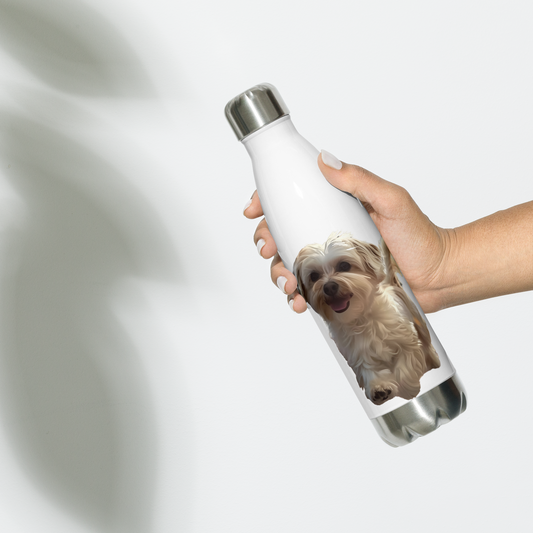 Stainless steel water bottle | Chloe