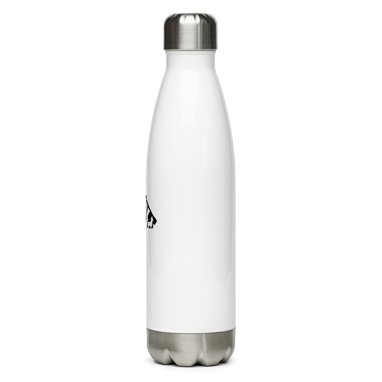 Stainless steel water bottle