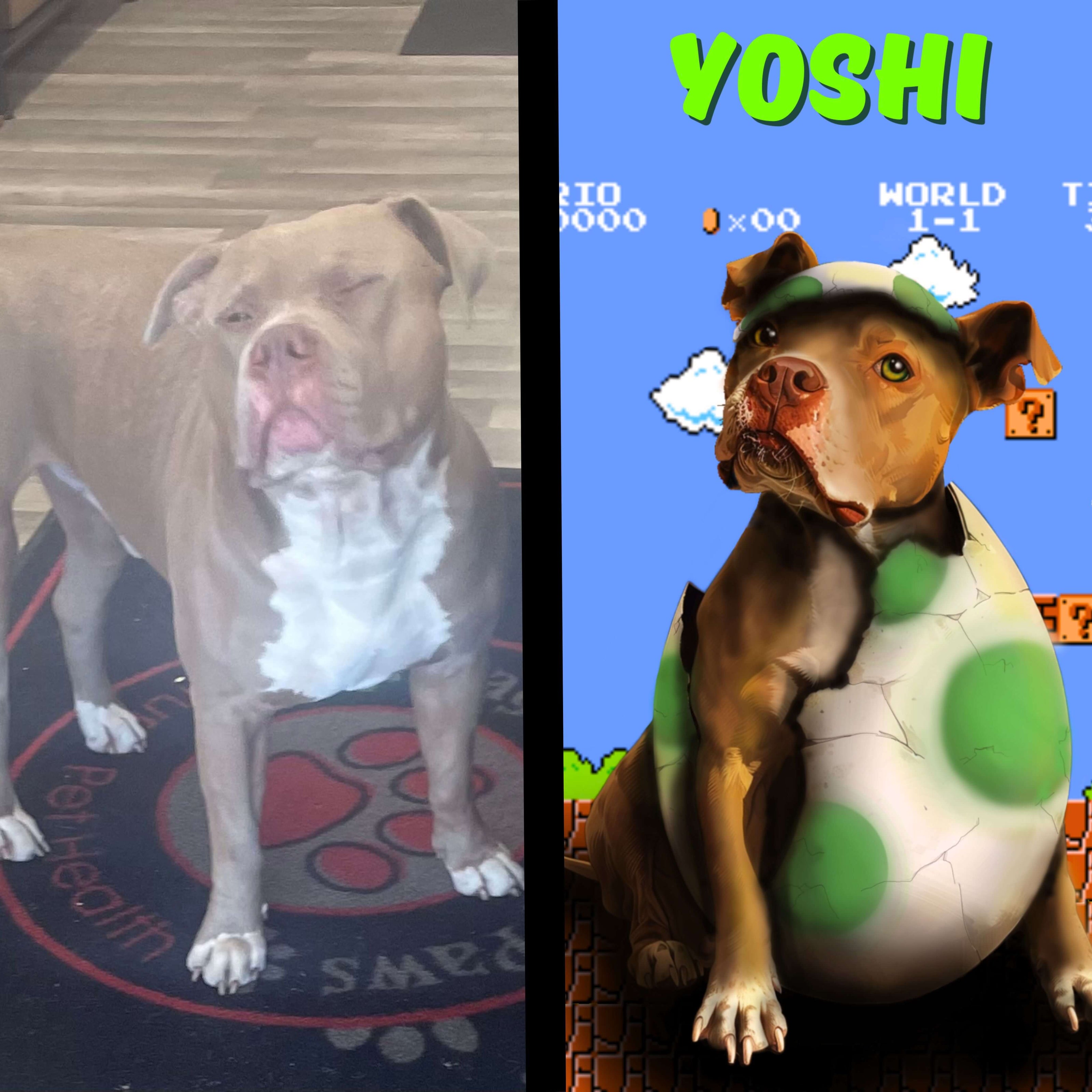 A custom pet portrait for a Pitbull named Yoshi